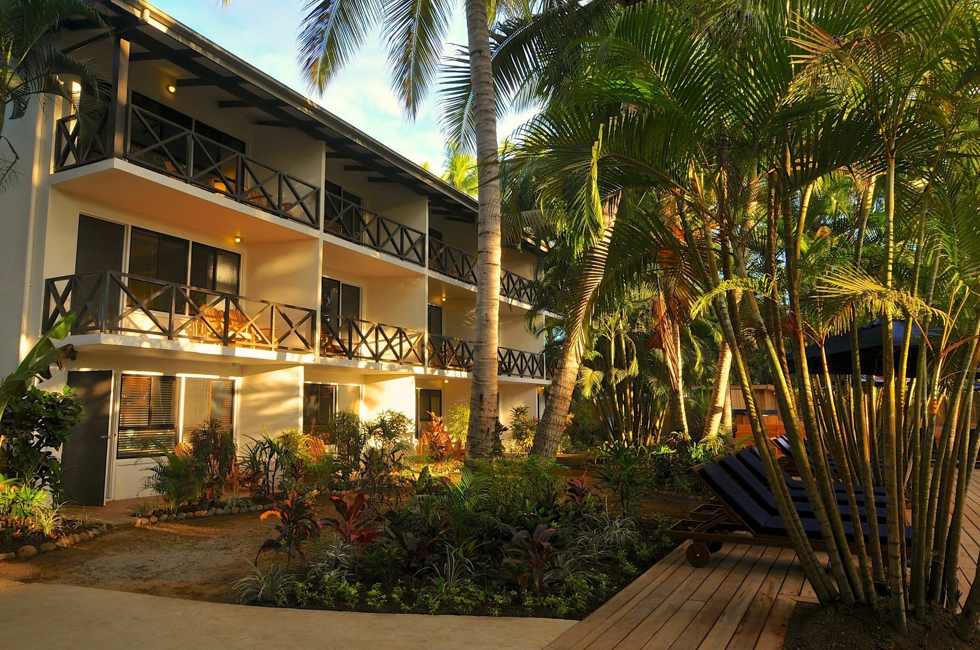Oasis Palms