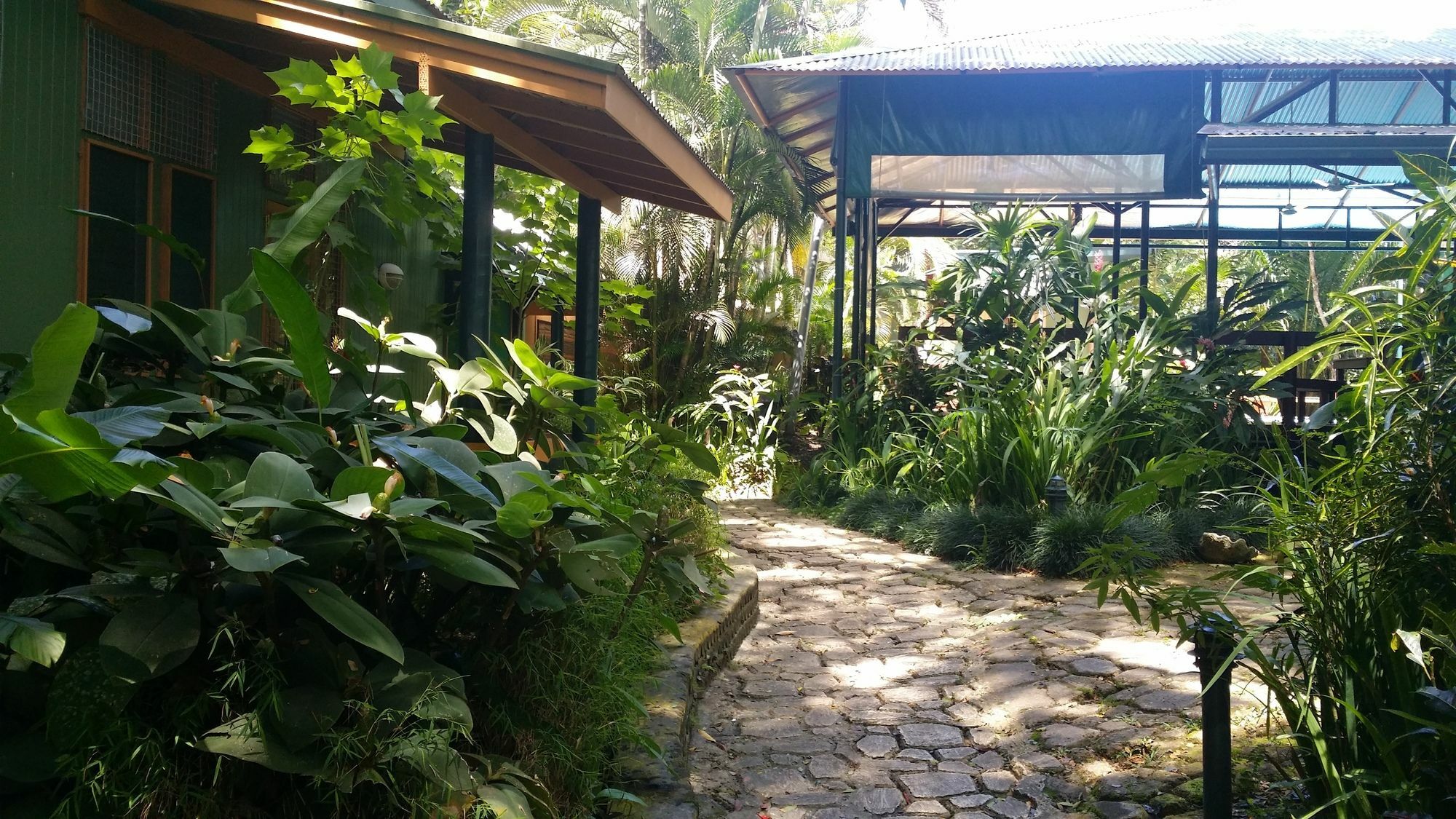 Resort Rainforest Eco Lodge 3*