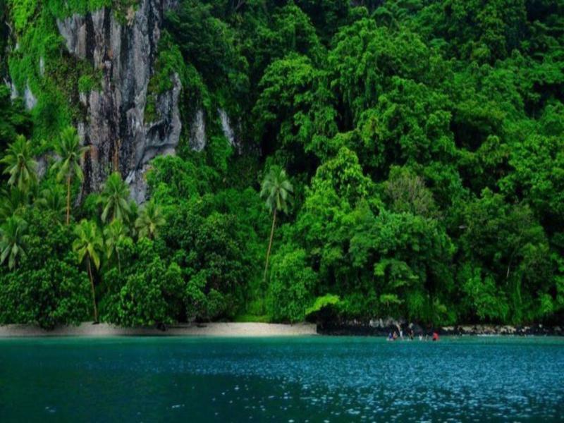 Hotel Hot Springs Savusavu