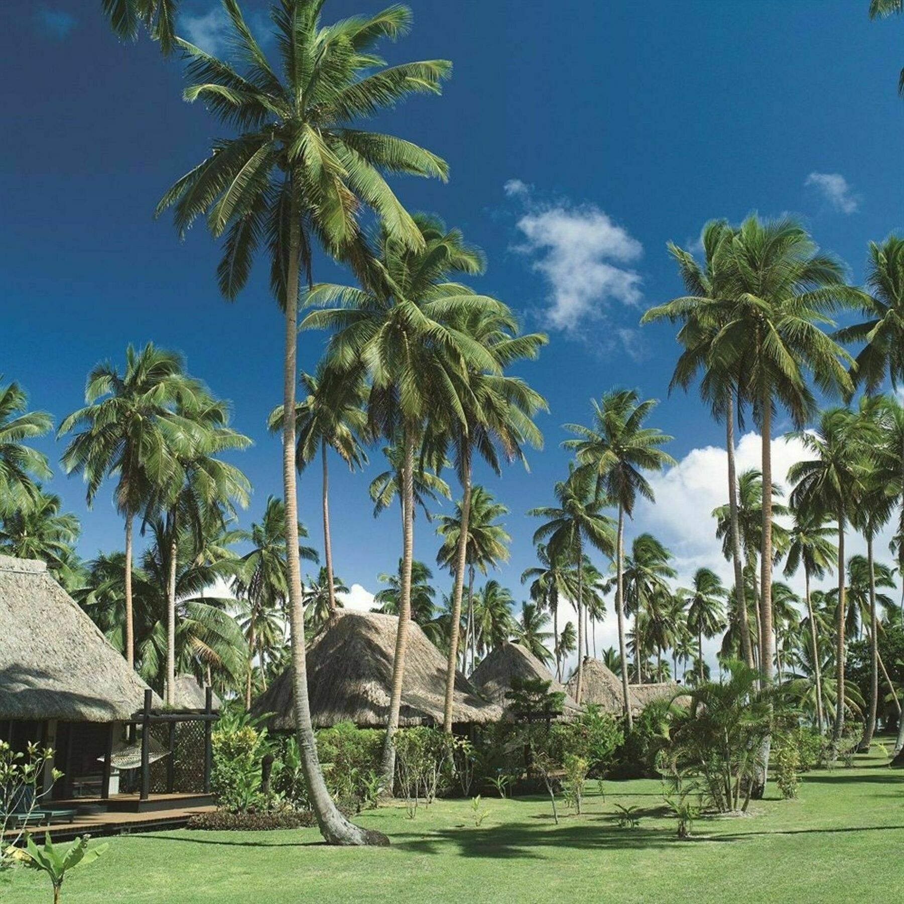 Jean-michel Cousteau Fiji 4*