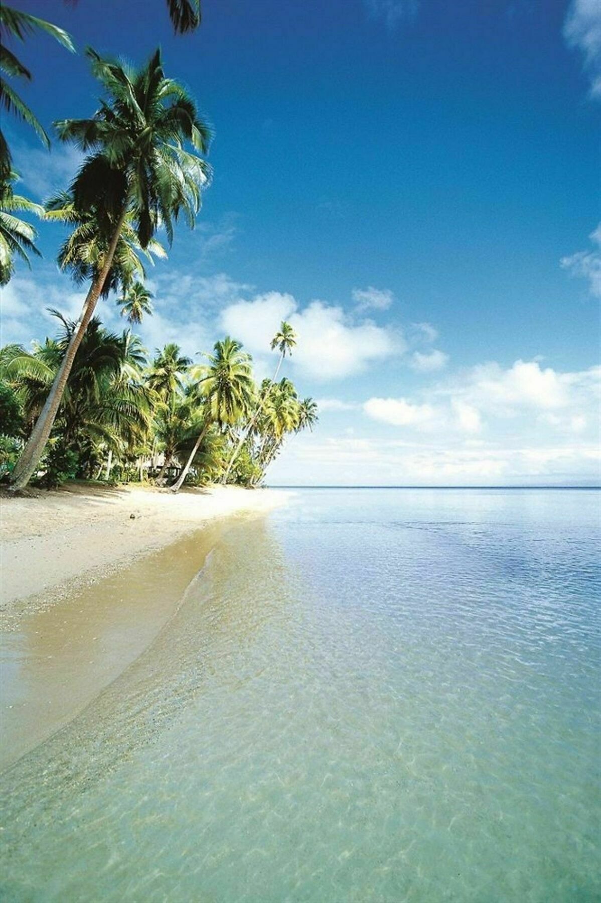 Jean-michel Cousteau Fiji Savusavu
