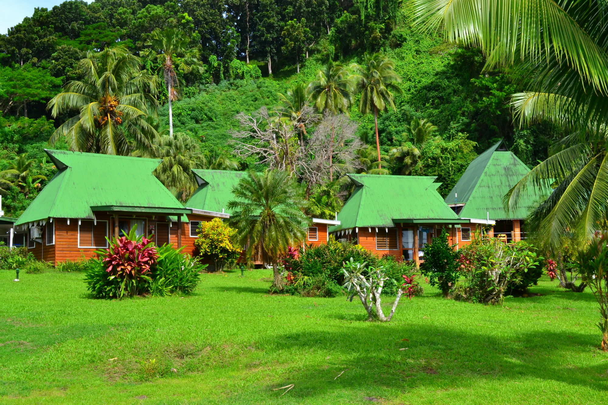 Resort Daku Savusavu