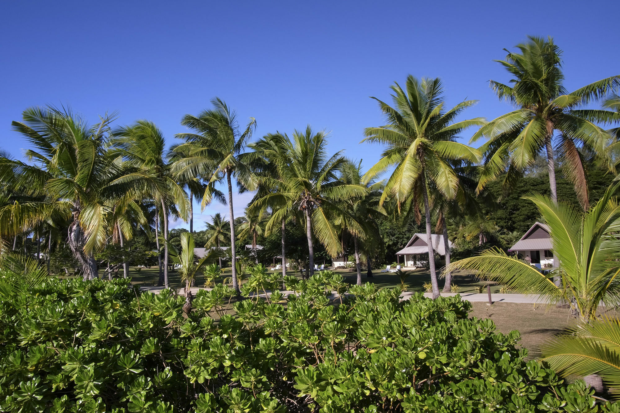 Musket Cove Island Resort 4*