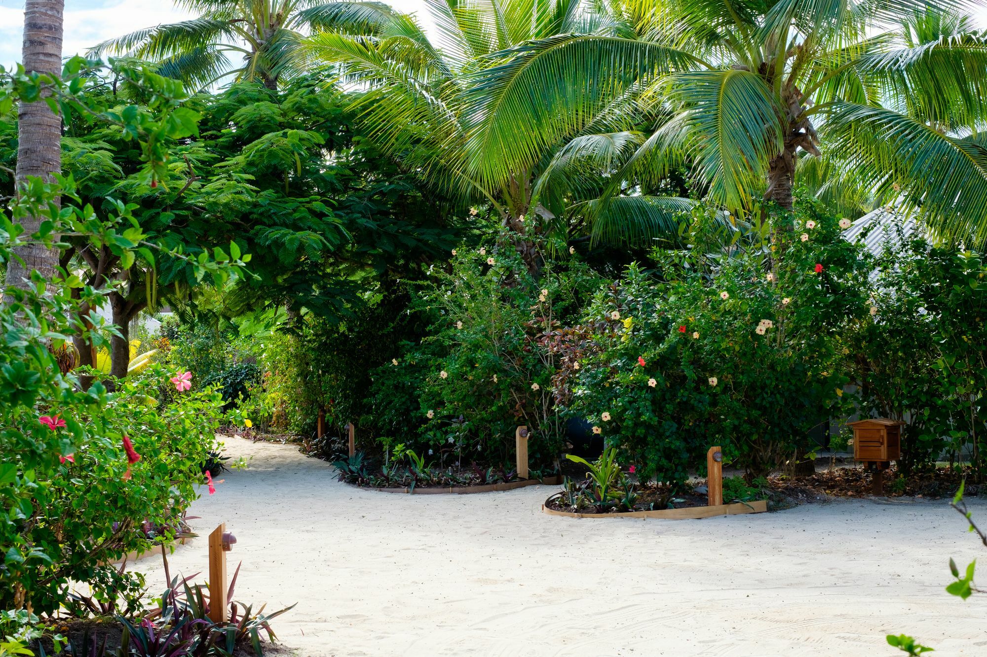 Musket Cove Island Resort