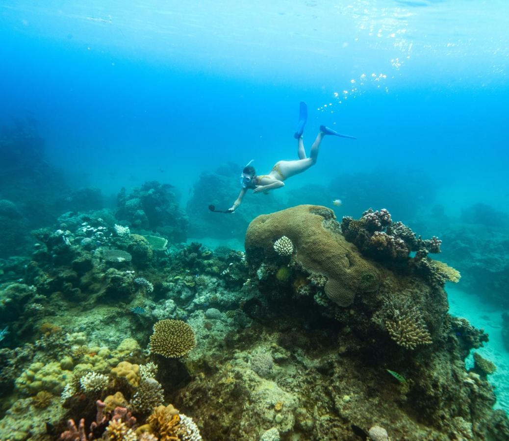 (adults Only) Royal Davui Island