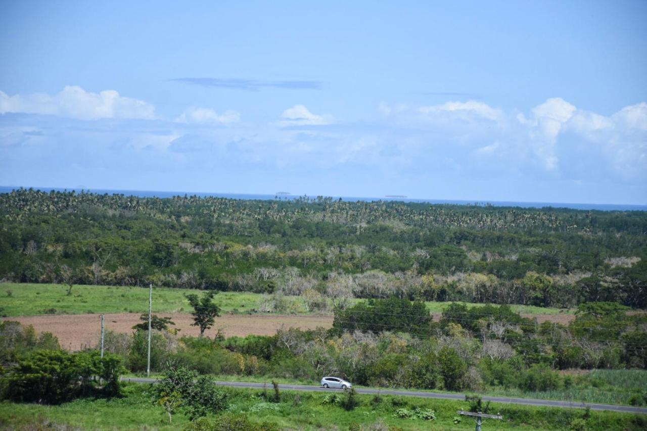 View Nadi