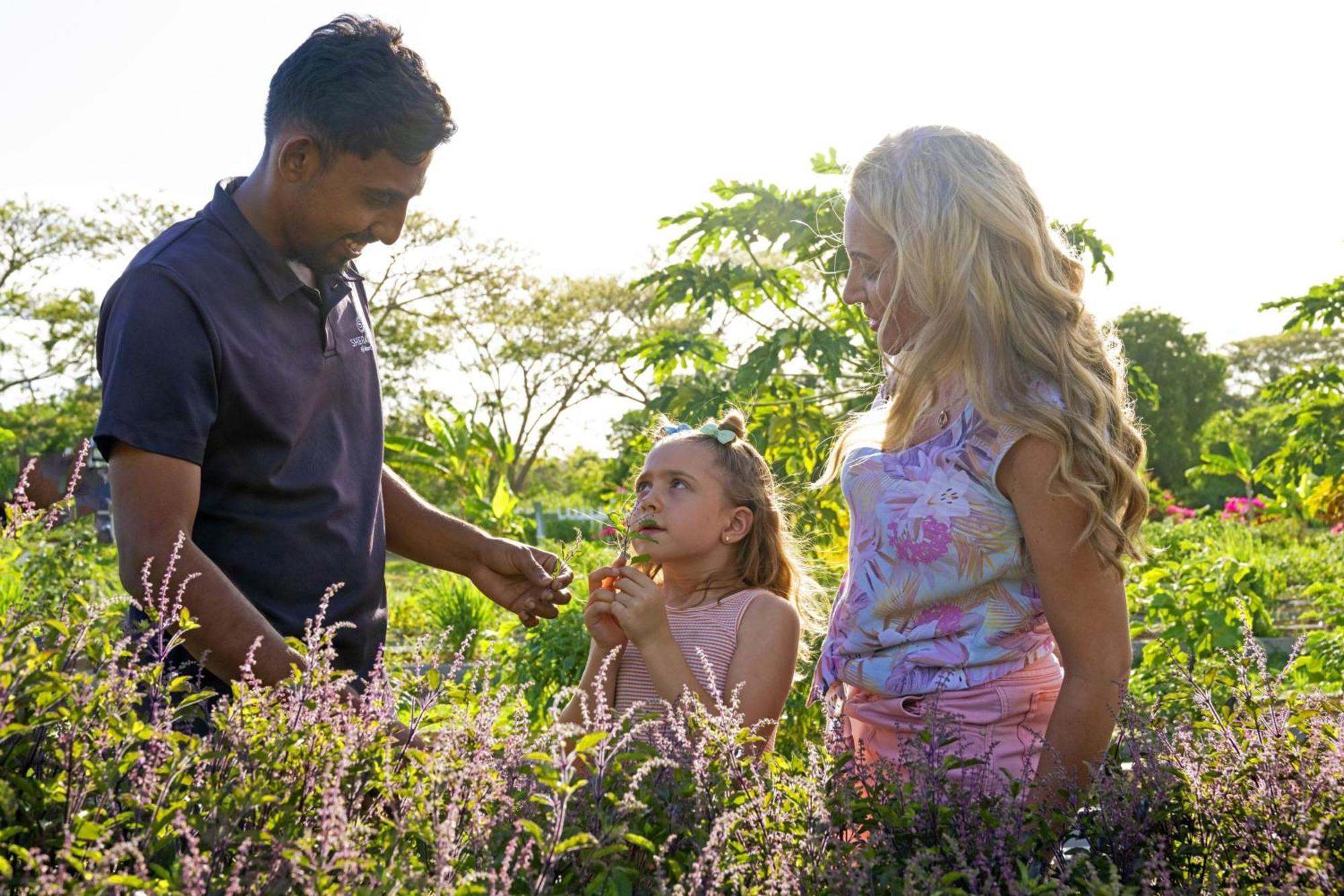 Sheraton Fiji Golf & Resort