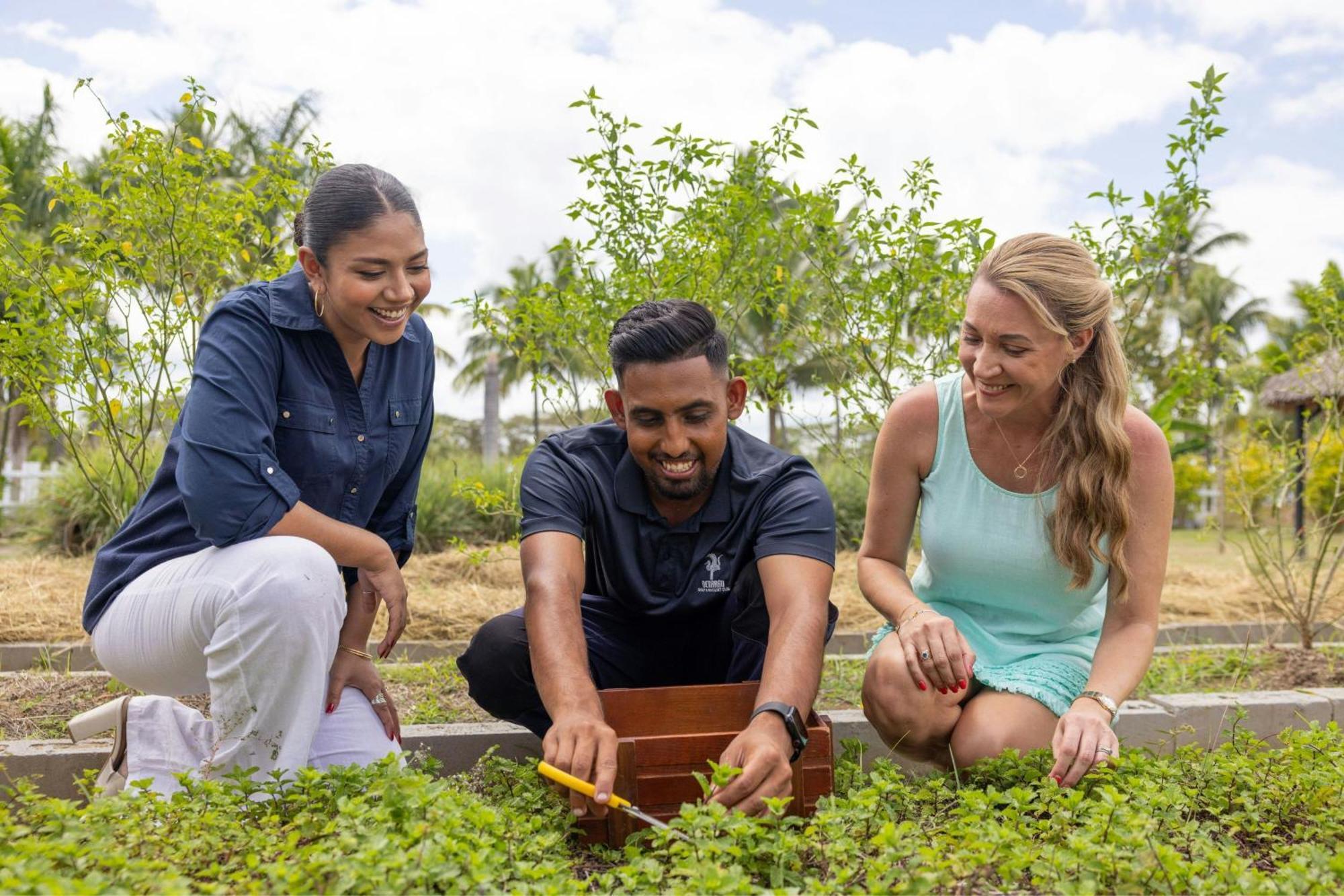 Sheraton Fiji Golf & Resort Denarau Island