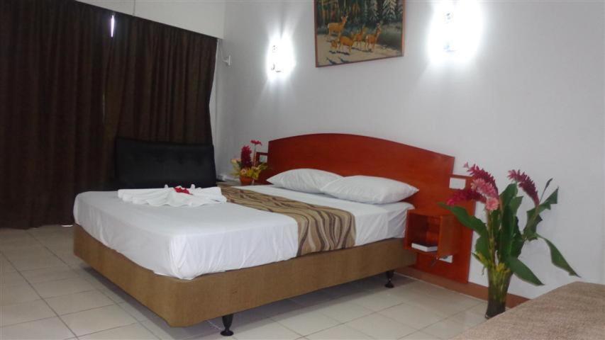 Downtown Hostel *
